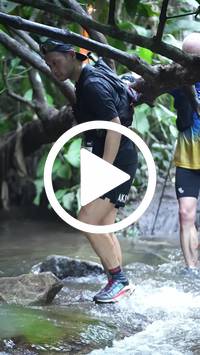 BIB:  <button type="button" onclick="openModal(27809163)" class="btn btn-primary btn-sm float-right" data-toggle="modal" data-target=".modal-high-quality">
                <i class="fa fa-download"></i> Download
                </button>